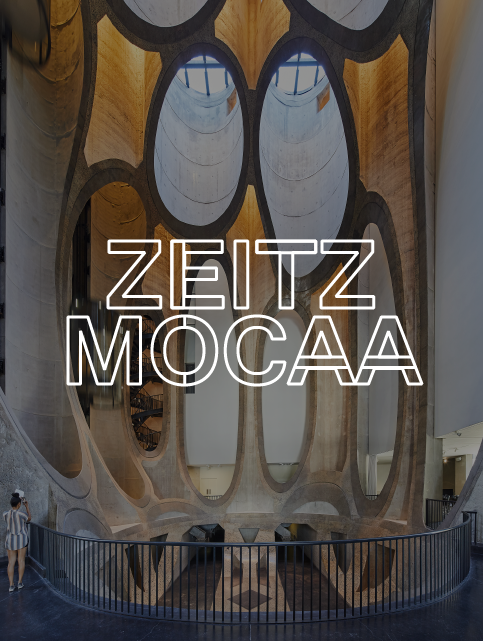 Zeitz Museum of Contemporary Art Africa